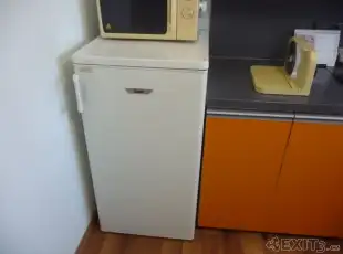 Lednice Zanussi ZC 205 AO