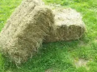 Malé hranaté balíky sena – Volduchy