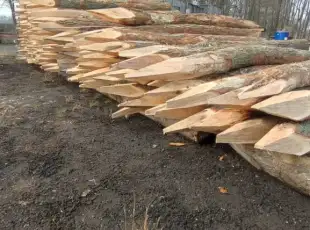 Dubové kůly – pevné kůly na ploty a ohrady